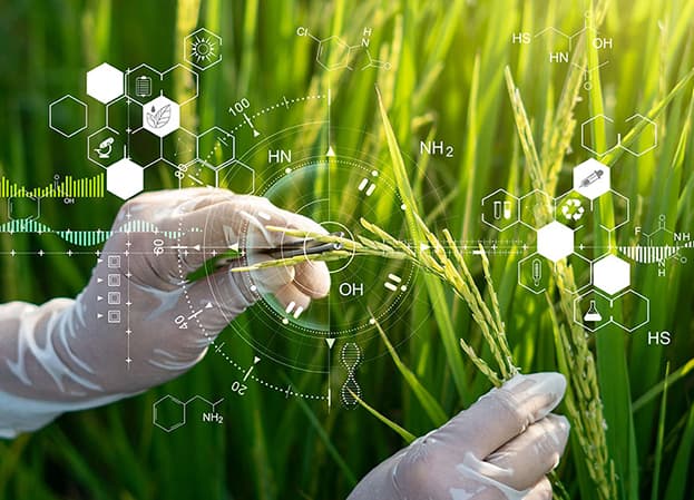 Agroquímicos y farmacéuticos
